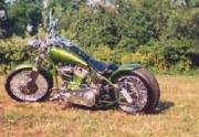 greenbike2.jpg