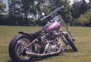 purplebike1.jpg